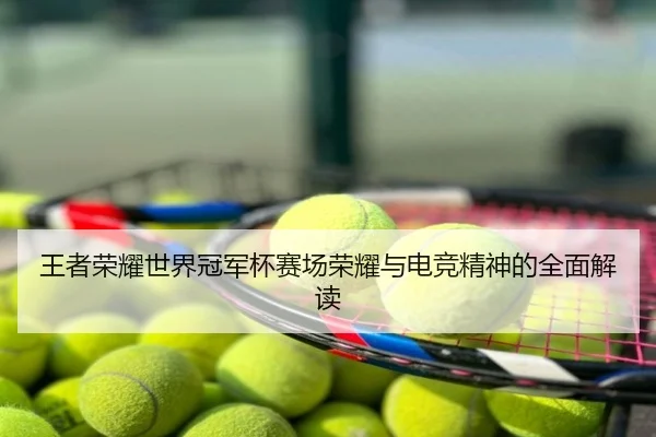 王者荣耀世界冠军杯赛场荣耀与电竞精神的全面解读