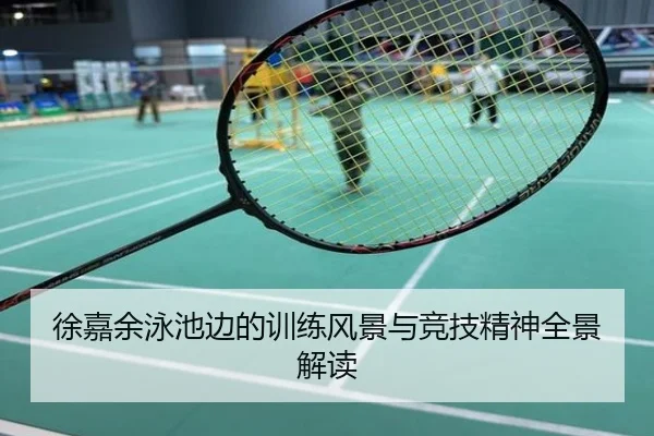 徐嘉余泳池边的训练风景与竞技精神全景解读